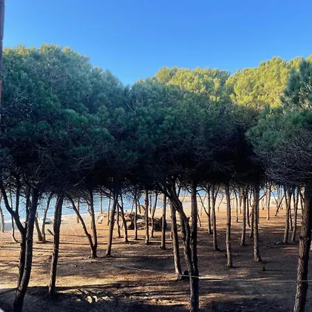 Alexander Ξενοδοχείο