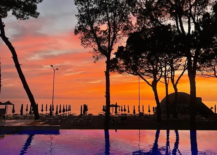 ホテル Alexander 4*