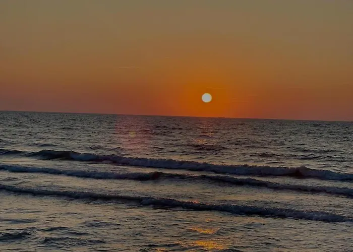 ホテル Alexander ゴーレム